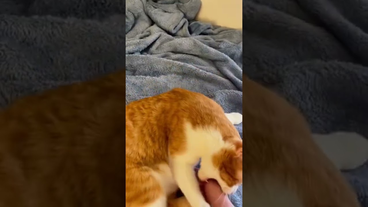 Why does my gong hiss??