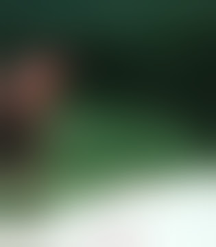 Accident In Parkour Training   LiveGore com