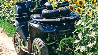 : SEGWAYSnarler AT6  4000 .  ,    . 