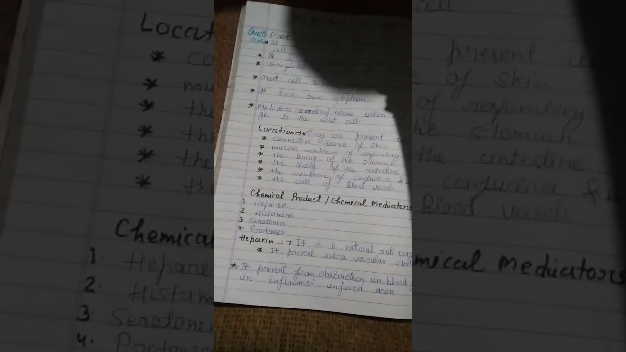 mast cell (heparin, histamine--------