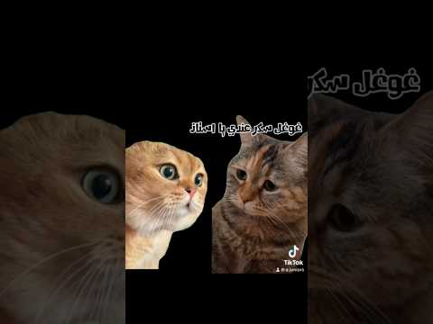 عذر أقبح من ذنب Fypシ Funny Beirut Trending