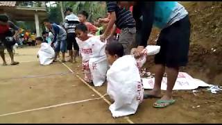 vidio lucu balap karung viral