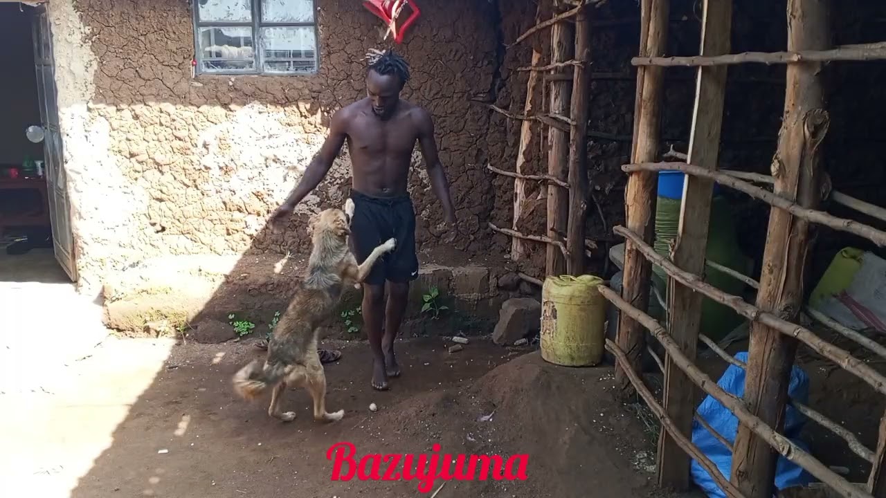 Doing exercise with my African security