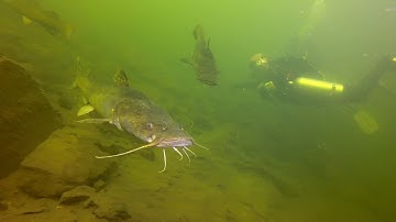 80 FEET DEEP!: SCUBA Diving the Whirlhole at the New River Palisades in Eggleston, VA.