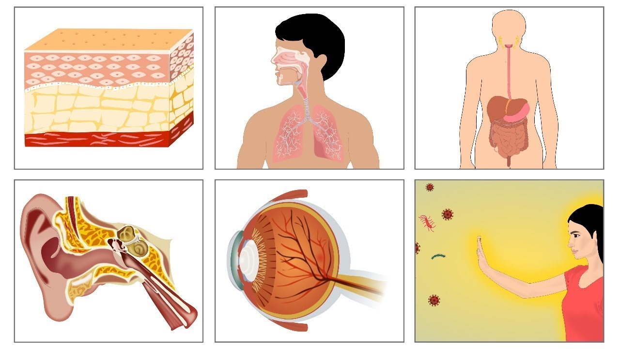 Importance of Vitamin AGujarati YouTube