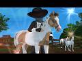 Finding Spiders !!Arachnophobia Warning!! - How Many Can I Find In 2h? - Zappy Catknight (UK)