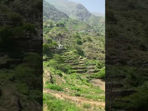 جبال هروب اليوم بعد ان اكتست اللون الاخضر