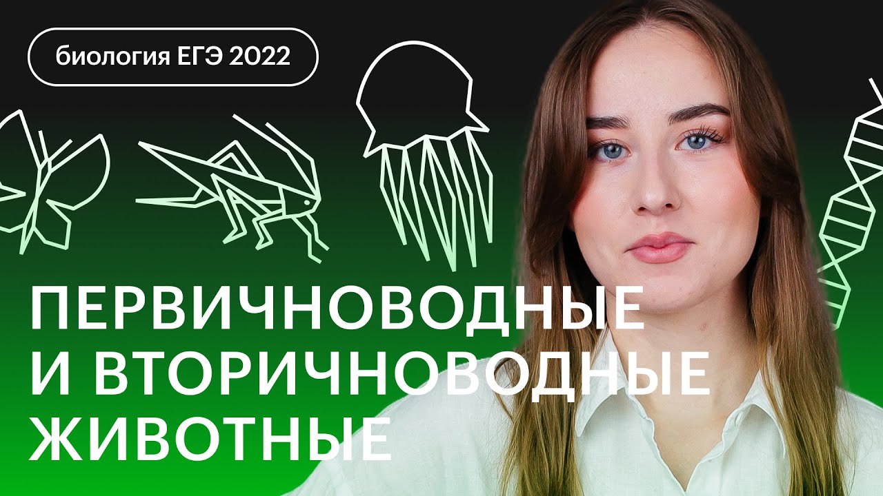 Первичноводные и вторичноводные животные