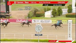 Vidéo de la course PMU PRIX UP VALLEY