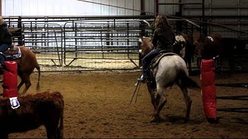 Play With My Cat - sorting practice 1 - Valley View Ranch