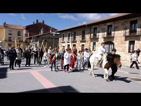 Procesión del Domingo de Ramos en Navaleno - 2023