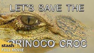 Let's Save the Orinoco Croc | Observational Documentary | Full Movie