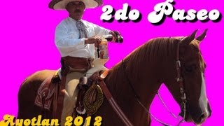 Paseo ayotlan 2012