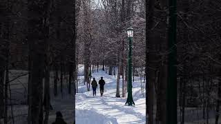Snow place like home.