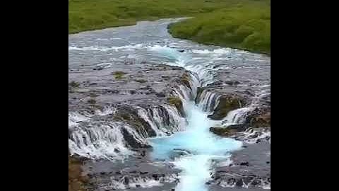 معرفة اسم القارئ