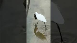 God Is So Goodlife Giving Moment