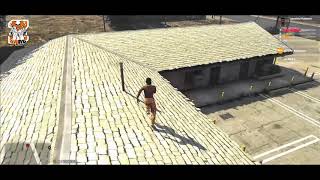 Zed Diss Jc Zetas Freedom Admins