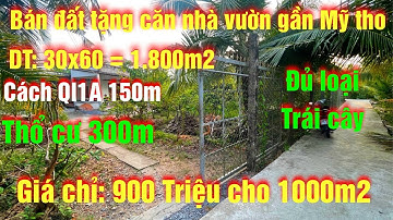 Tập 208💕 Bán Nhà Vườn Đủ Loại Trái Cây Có 300m Thổ Cư Giá 1000m2 Chỉ Có 900 Triệu, Tại Tiền Giang