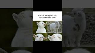 Kaha Ha Aap Ka Pear Sir Ji