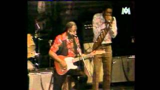 Muddy Waters w/ Mojo Buford on Harp, Chicago 1981 chords