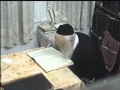 Rabbi (Moreinu Ha Rav) Elyashiv Shtaigging - Learning - Rare Video Footage