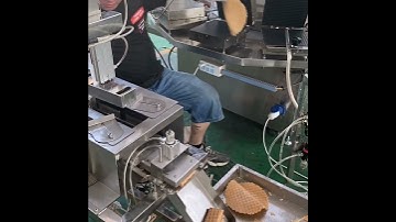 bakery equipments waffle machine/egg roll waffle  folding machine