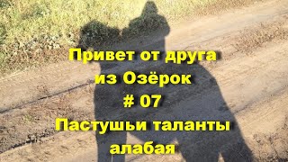 Привет от друга из Озёрок #07