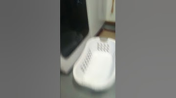 day 4 making bad transitions