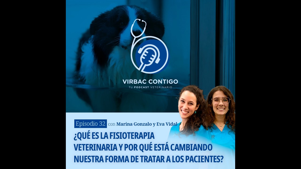 ¿Qué es la fisioterapia veterinaria y por qué está cambiando nuestra forma de tratar a los pacien...