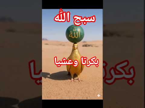 يحمل اسم الله عاليا اليمن 