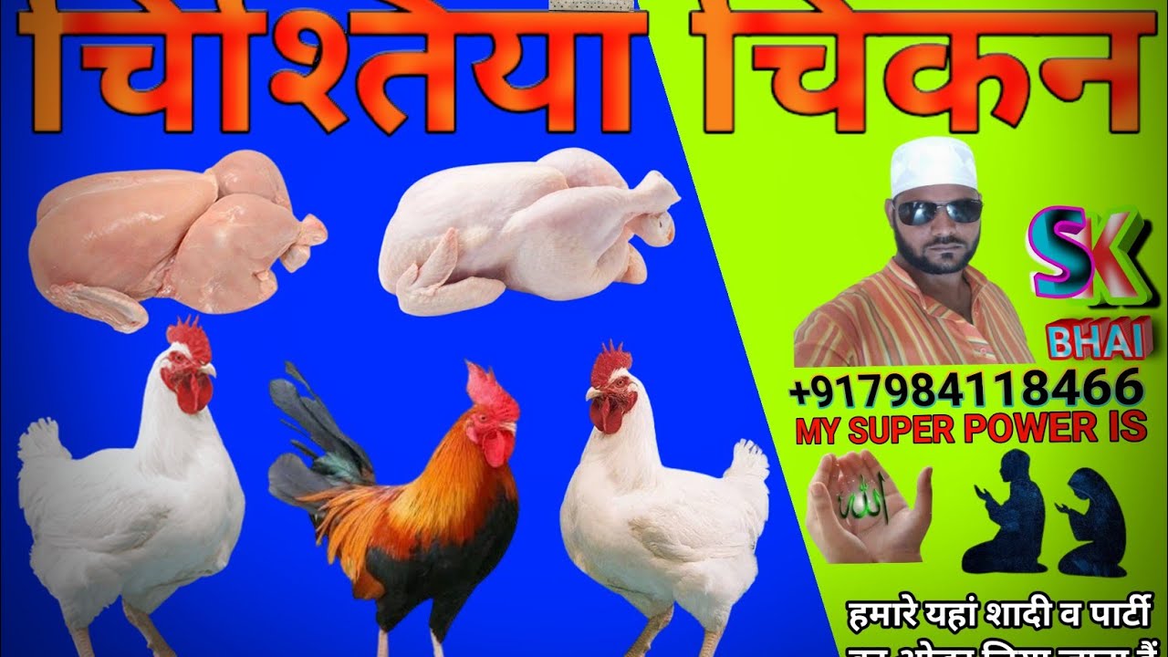 all india chicken rate today broiler poultry rate today aaj