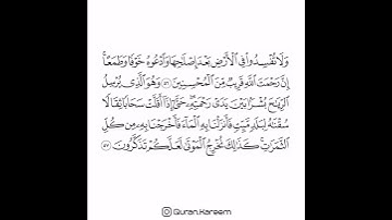 القارئ ماهر المعيقلي - سورة الأعراف - من الآية 56 إلى الآية 57