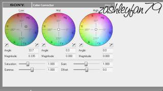 Sony Vegas Coloring (48)