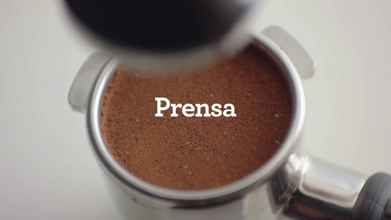 Sage SES875BSS2EEU1A CAFETERA MANUAL 