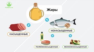 Полезные жиры и их роль в организме Полезные жиры и их роль в организме