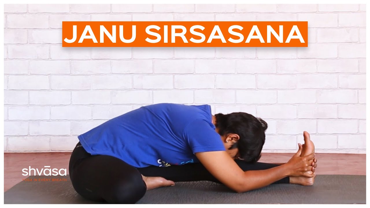 Janu Sirsasana for Beginners | Head to Knee Pose | How to do Janu ...