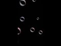 Audio: "Auld Lang Syne" Scottish Version ((Glarry Tenor Ukulele))