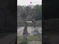 Call of Duty Black Ops 6 360 Combat #trendingreels #support #subscribe