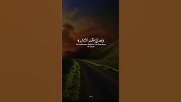 تلاوة هادئة راحه نفسيه #القارئ احمد خضر #اكتب_شي_تؤجر_عليه #قران كريم