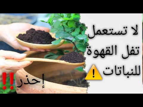 احذر في استعمال تلوة القهوة للنباتات       