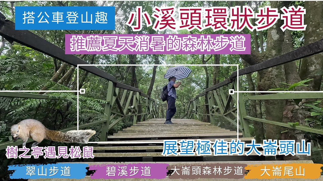 搭公車登山趣  台北 小溪頭環狀步道ep263『推薦夏天消暑的森林步道,環走清涼的翠山步道,碧溪步道,石頭厝,大崙頭森林步道,欣賞大雨中的大崙頭山展望,回程順走大崙尾山』