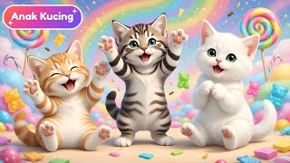 LAGU ANAK 🇮🇩 ANAK KUCING MEONG MEONG - KITTEN SONG - LAGU ANAK BALITA VIRAL