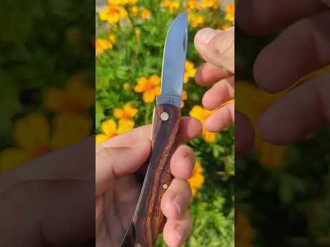 This Case Sod Buster Jr Is Now a One-of-a-Kind Knife