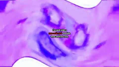 The Real 763 Render Pack Round 3329 - Vocoded Blue (AVS)