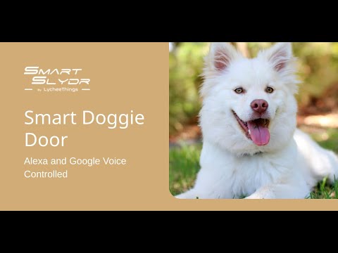 Doggie Door -
