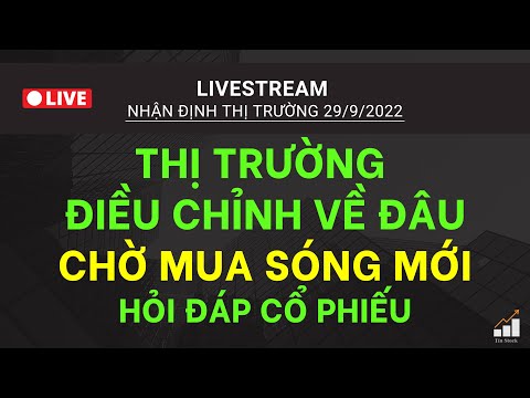 Video LIVE STREAM NHẬN ĐỊNH THỊ TRƯỜNG 29/9: THỊ TRƯỜNG... - youtube