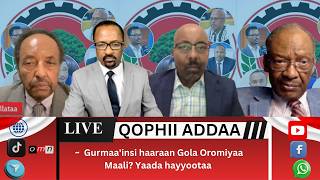 OMN Qophii Addaa; Gurmaa'insi haaraan Gola Oromiyaa Maali? Yaada hayyootaa Onkol  1, 2026