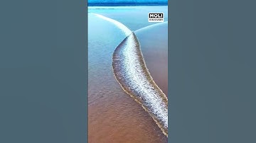 Giải Mã Cơn Sóng Thủy Triều Ở Sông Tiền Đường | Moli Discovery #shorts