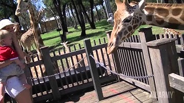 Best Fails of the Week 2 March 2015    FailArmy