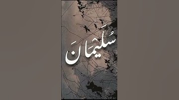 #قرآن #اكسبلور #تلاوة_خاشعة #المصحف #لايك #الرحمن #قران_كريم #ترند